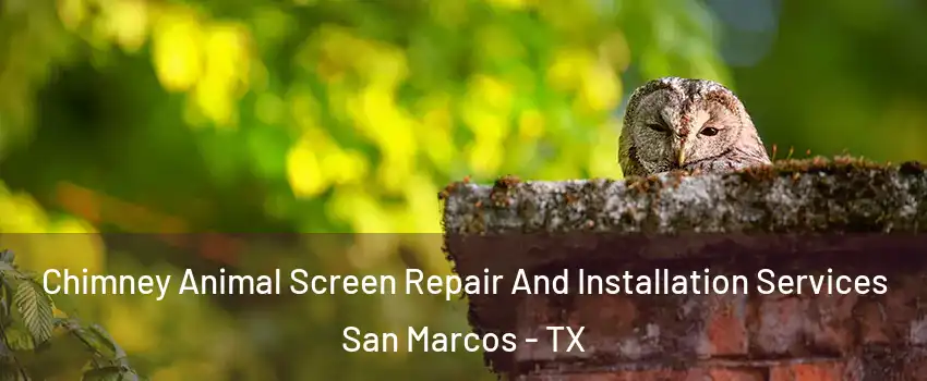  Chimney Animal Screen Repair And Installation Services San Marcos - TX