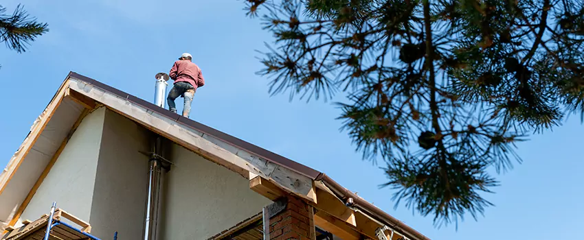 Birds Removal Contractors from Chimney in San Marcos, TX
