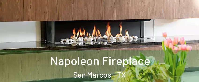  Napoleon Fireplace San Marcos - TX